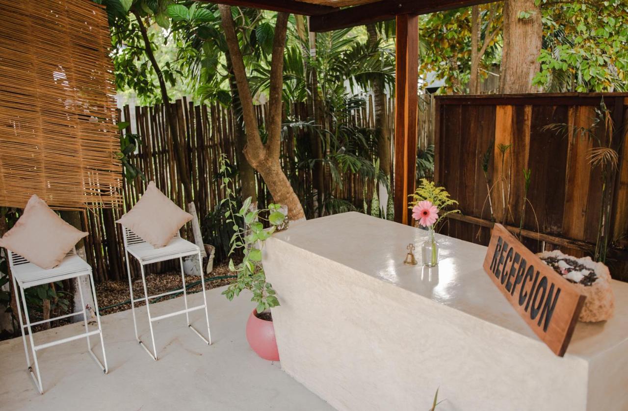 Hotel Selva Maya Bacalar Extérieur photo