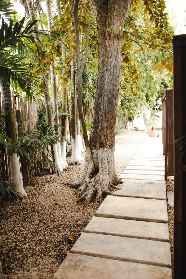 Hotel Selva Maya Bacalar Extérieur photo